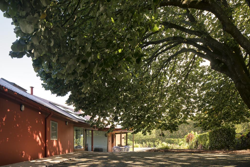 Gasthaus Quinta Da Tilia Boutique Retreat Capelas Exterior foto